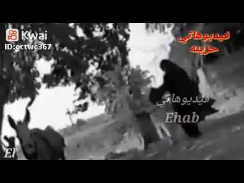 امايه يامه شدي الضفاير