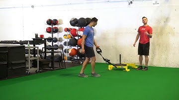 Sled Crossover Sprint