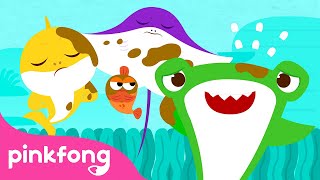 Извини | Здоровый День Акулёнка | Пинкфонг Песни Для Детей