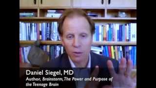 How Your Brain "Grows You Up": Brain Change from Adolescence to Adulthood