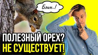 видео: Блогеры соврали — «самого полезного ореха» не существует. Есть формула из 5, доказано наукой! картинка: Блогеры соврали — «самого полезного ореха» не существует. Есть формула из 5, доказано наукой!