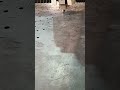 2 mm ms laser cutting machine #lasercutting #cnc #lasercut #lasercutter #welding #fiberlaser #laser