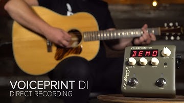 Voiceprint DI | Element VTC Demo