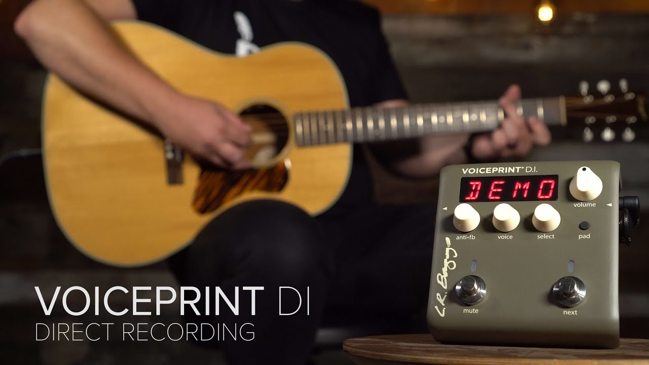 Voiceprint DI Acoustic Guitar Impulse Response Pedal — LR Baggs