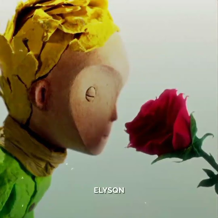 Download lagu 'it is the time that you devoted to her that makes your rose important' // the little prince