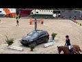 SLF 21 07 2025 Cazita Ter Schellebeek Mare 2025 By Ecclestone Z SLF 21 07 2025 Cazita Ter Schellebeek Mare 2025 By Ecclestone Z