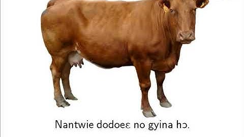 ADJECTIVES.Twi.B2.5.4.1.1.A1  By TUG with exercises on sibalearningzone.com