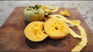 Complete Guide On How To Grow Persimmons - All Year Updates To Harvest Time