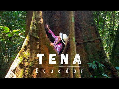 TENA - ECUADOR | EXPERIENCIA ECODREAMS 🌳 Josué y Eli