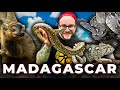 Madagascar, Like Nobody Has EVER Seen It | Boas, Lemurs, Chameleons and the RAREST Animals on Earth!