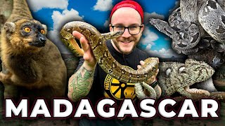 Madagascar, Like Nobody Has EVER Seen It | Boas, Lemurs, Chameleons and the RAREST Animals on Earth!