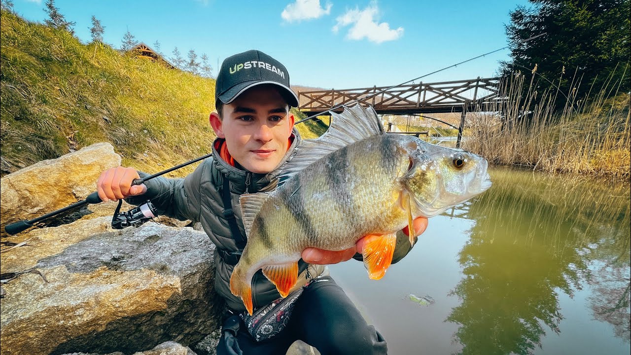 ЗНАЙШЛИ ВЕЛИКОГО ОКУНЯ🔥 Гне УЛЬТРАЛАЙТ в БУБЛИК