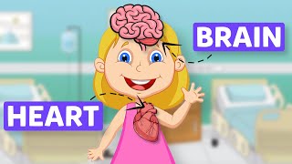 Human Body Organs in English for kids | Science For Kids