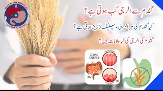 Wheat Allergy Symptoms & Treatment Celiac Disease In Urdu Gluten Allergy Symptoms & Treatmen