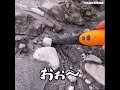 金属探知機を使って砂金採りしてみた　shorts編