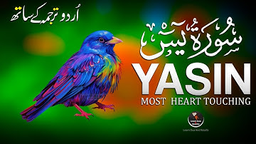 Surah Yaseen (Yasin) سورة يس | Majestic Lofi Quran Peaceful Nights & Spiritual Healing