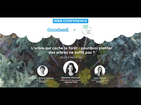 Vidéo: L'aide Curative Des Arbres - Vue Alternative