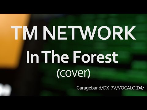 TM NETWORK InTheForest(君の声が聞こえる)耳コピ