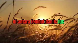 Antara Sutra Dan Bulan  Iklim  Lirik Lagu
