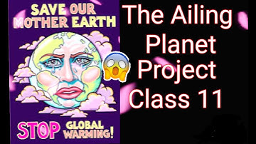 The Ailing Planet Project Class 11