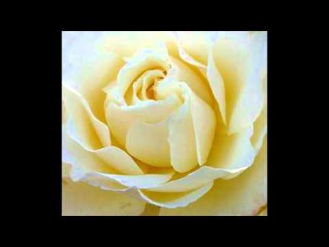 Larry Sparks - Don't Neglect The Rose.wmv