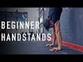 20 Minute Beginner Handstand Routine (FOLLOW ALONG)