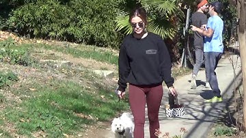 lucy hale walking elvis