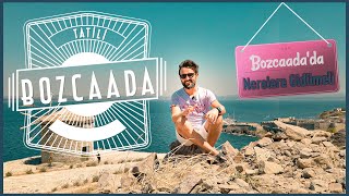 Where To Go In Bozcaada? Bozcaada Holiday