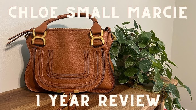 Chloe Marcie Small Reveal and Review