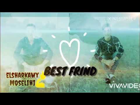 لا مش سلكانين لا مش مخلصين