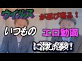 驚愕!無料アダルトサイトによる詐欺の手口
