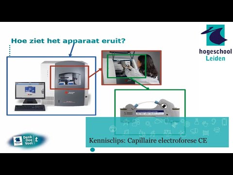 Video: Wat is capillaire elektroforese?
