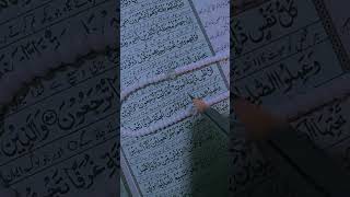 har jandarl ko motl ka mazalislamic viralshorts viralvideo islamicstatus nashida