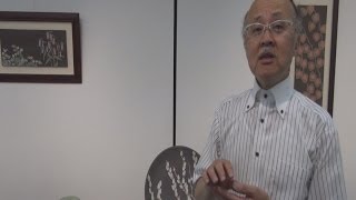 田中荘弐さん日立で陶芸展