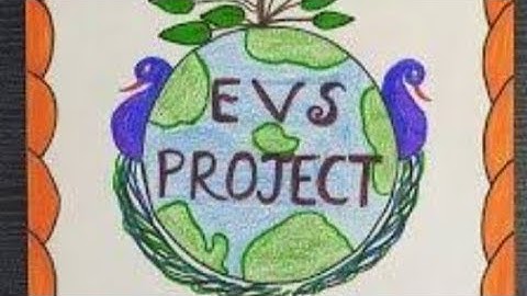 Wb deled (1st year) EVS Assignment |#pdf file #Creative writing/ wb deled part-1 evs project