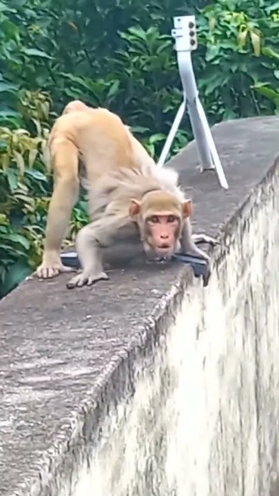 #shortsfeed #shortsfeed_ #shortsfeedtrend