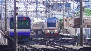 【横須賀線】特急 鎌倉 E653系K70編成　横浜での転線　2024.5.5