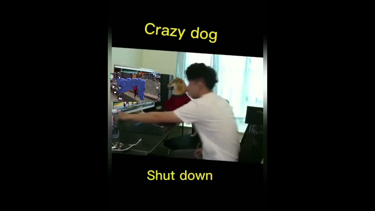 ROUK FF PET BE LIKE 😂😂🤭 //GS PIYUSH 1M//#NAYANASIN