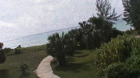 C6ARW 2011 CQWW DX Phone Contest Station Tour