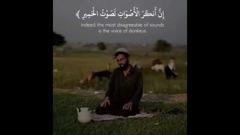 تلاوة نادرة. للشيخ محمد اللحيدان حفظه الله .