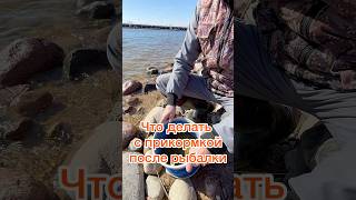 Что делать с прикормкой после рыбалки #рыбалка #fishing #belarus