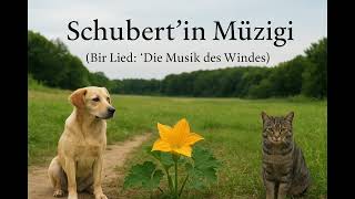 🎵 "Schubert’in Müziği" — Orijinal Şarkı 🎵