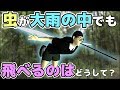 【物理エンジン】小さな虫が大雨の中でも飛べるのはどうして？