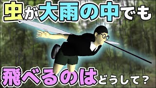 【物理エンジン】小さな虫が大雨の中でも飛べるのはどうして？