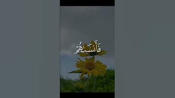 تلاوة فضيلة للقرآن الكريم🥀 عطر مسمعك بتلاوة من القرآن الكريم#قران_كريم#تلاوة_خاشعة #قرآن #اكسبلور