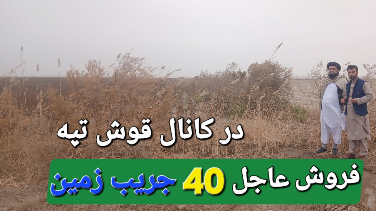 گزارش حیات الله از فروش عاجل 40 جریب زمین در کانال قوش تپه باقباله شرعی پاک.........