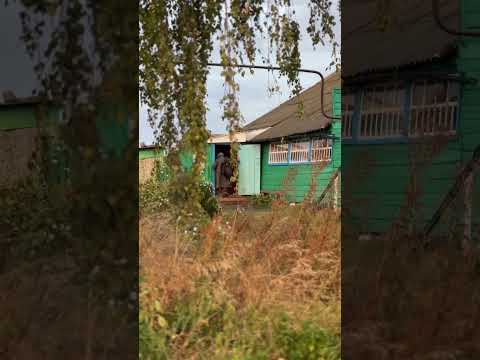 Родной дом #деревня #лето #природа #дом #бабушка #жизньвдеревне #детство #баня #русскаядеревня