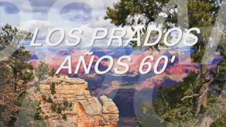Video thumbnail of "Vendras yo se que vendras - Los Prados"