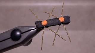 Chernobyl Ant