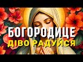 Богородице Діво радуйся 07.05.2025